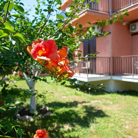 Apartment Costas *